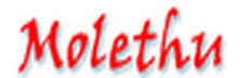 Molethu PMC: Adopting a Value Driven Approach 